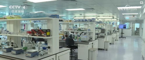 兩會聚焦 以有分量的計算機軟件技術，賦能經濟、科技與民生發展新目標